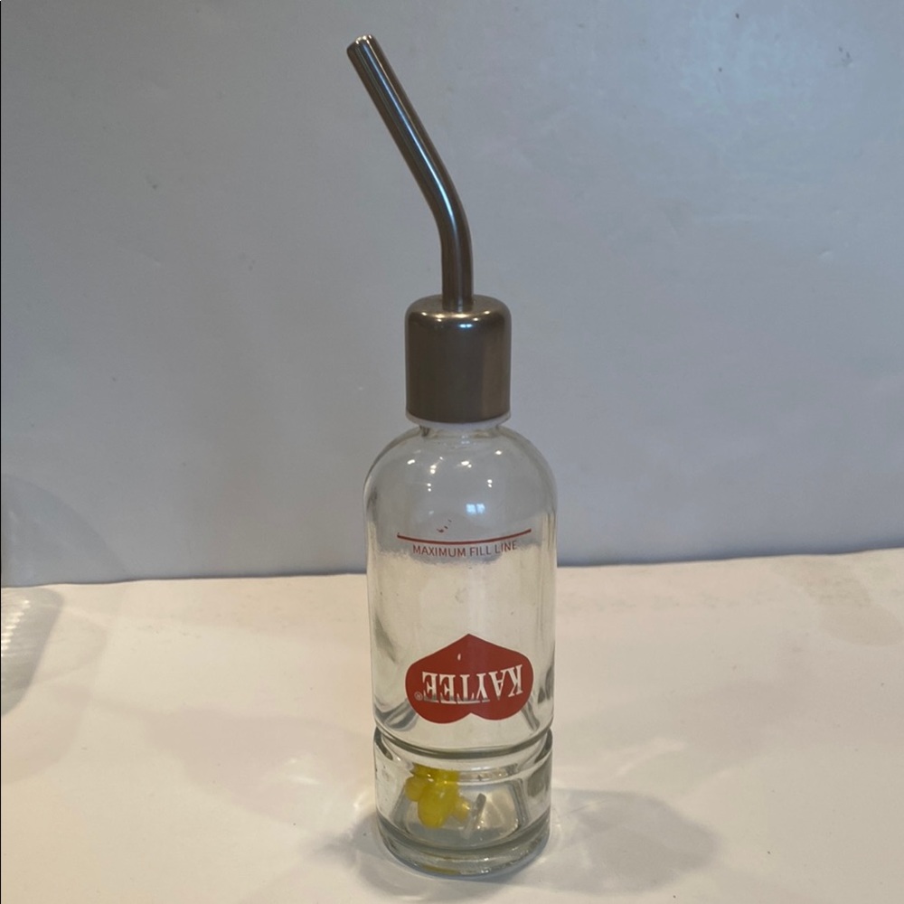 Kaytee Small Glass Pet Bottle